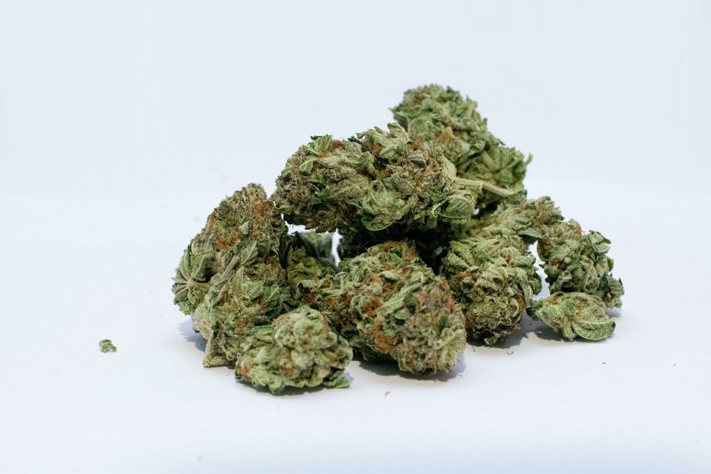 Beneficios de ser socio del mejor club de cannabis de Sevilla | Green City Beneficios de ser socio del mejor club de cannabis de Sevilla | Green City