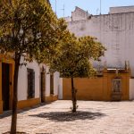 Cannabis y calor sevillano - Cómo disfrutar mejor en verano sin pasarlo mal | Green City Sevilla