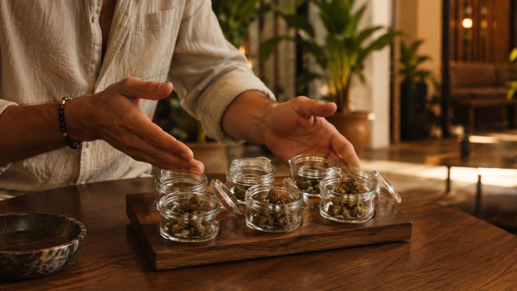 Sativa, índica e híbrida: qué elegir según lo que vayas a hacer en Sevilla, Green City Sevilla